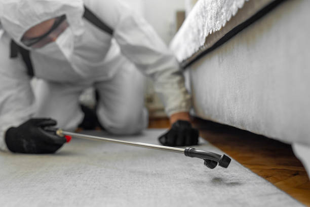 Professional Termite Control technician working in Eagle Point, AL