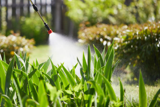 24/7 Emergency Termite Control experts in Eagle Point, AL