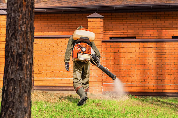 Top rated local Termite Control specialists in Eagle Point, AL